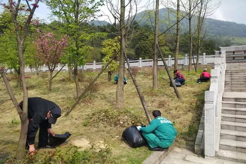 推行景區環境精細化管理標準成效初顯 武陵山大裂谷為自己打call