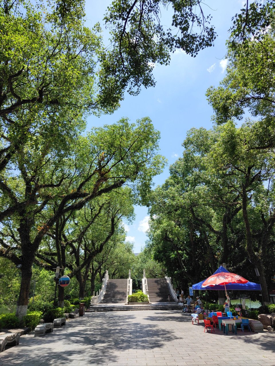 桂林開放式的榕湖景區實在太美麗 免費游覽,開放式管理,景色宜人,天空