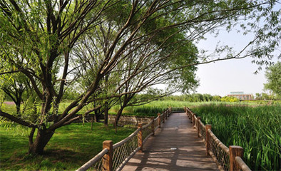 奧林匹克森林公園游覽景區管理探析